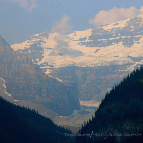 Domestikwom : Domestikwom - Necrolytic Goat Converter Split II